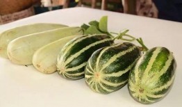 湖北网红吃瓜,揭秘网络热点的背后故事