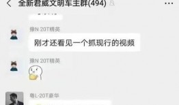 宁波车友群爆料最新消息,揭秘神秘汽车事件！